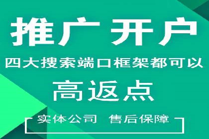 SEM代运营案例：品牌影响力提升